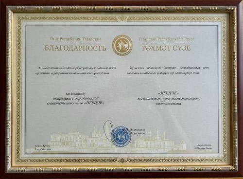 “Игенче” җәмгыяте  республика рәисенең Рәхмәт сүзенә лаек булды