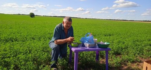 «Игенче» җәмгыяте аш-су осталары игенче-механизаторларны тәмле ризык белән сыйлыйлар