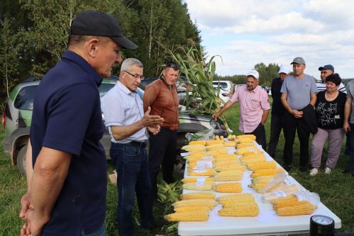 Кукуруз  урырга да, җир эшкәртергә  дә вакыт