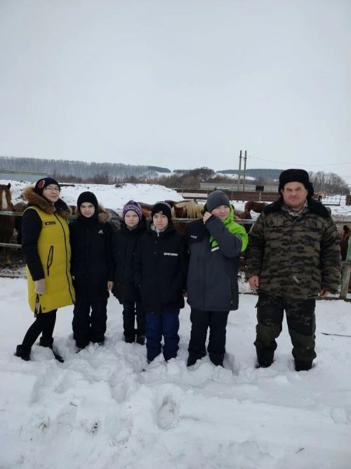 Түбән Шытсу төп гомуми белем бирү мәктәбе  укучылары терлекче һөнәре белән таныштылар