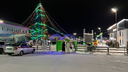 Районыбызның медицина һәм мәдәният хезмәткәрләре Сабаның Төп Чыршысы янында Яңа ел бәйрәме уздырдылар (+видео)