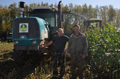 “Курсабаш”та барысы 11670 тонна  кукуруз  силосы  салынган
