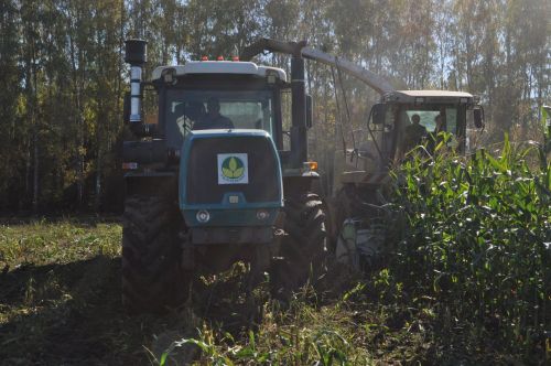 “Курсабаш”та барысы 11670 тонна  кукуруз  силосы  салынган