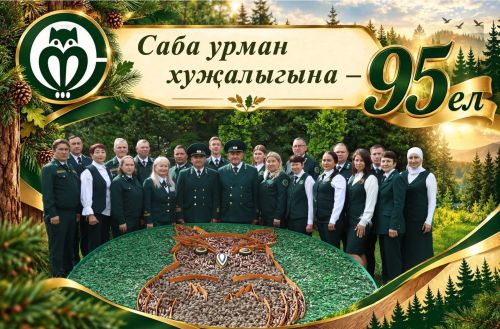 95 еллык данлы юл: Саба урман хуҗалыгы күркәм юбилеен билгеләп үтә