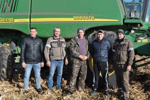 «Саба» җәмгыятендә кукурузны бөртеккә сугалар