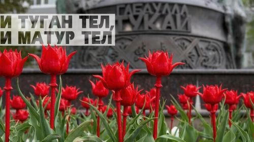 Хөрмәтле райондашлар, сезне 26 апрельдә билгеләп үтелүче Туган тел көне белән тәбрик итәбез!
