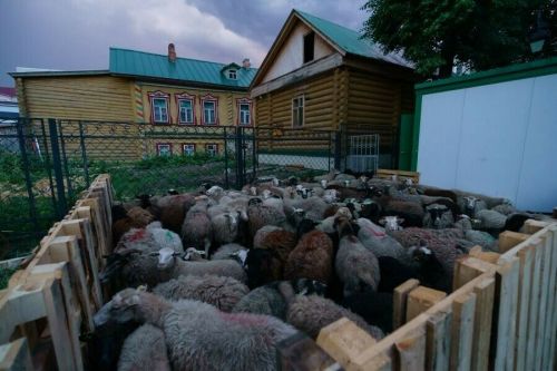27 май-Корбан бәйрәме