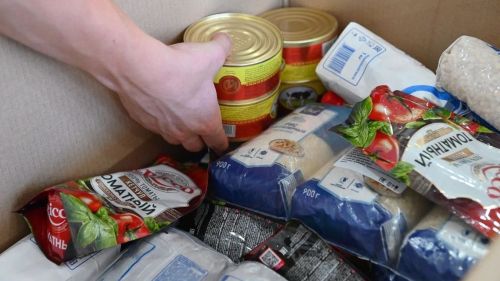 Татарстанда махсус хәрби операциядә  катнашучыларның гаиләләре 505 тонна гуманитар ярдәм алачак