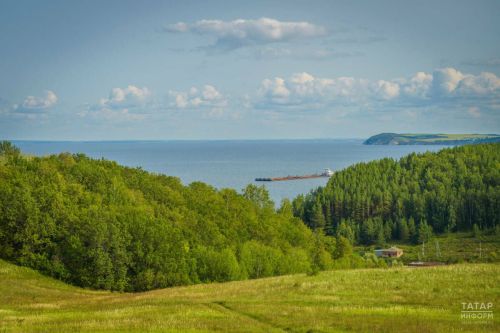 Названы лучшие лесхозы Татарстана по объемам ухода за лесными культурами