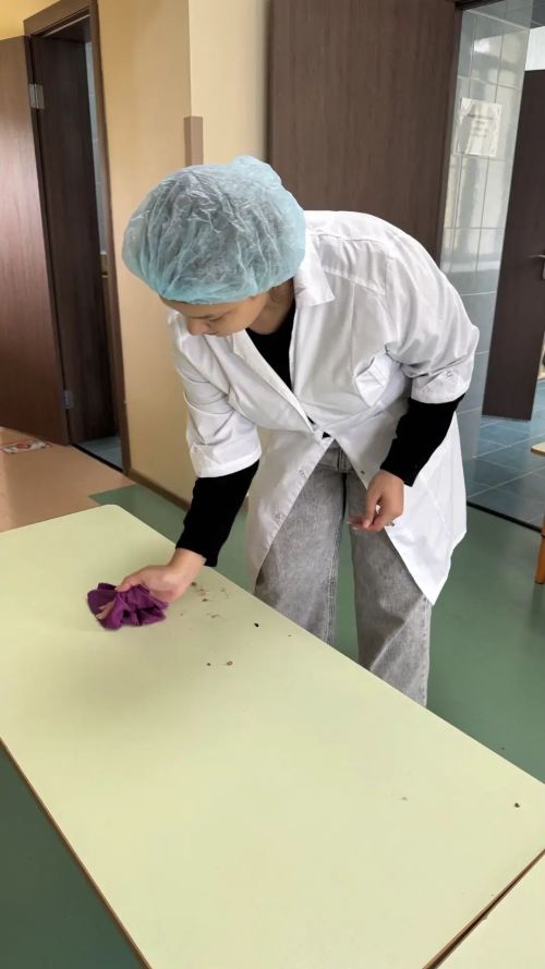 Районыбыз укучылары хезмәттә чыныга