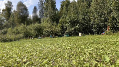 Лесхоз бистәсендә урнашкан  өлкәннәр өчен интернат-йортның умарталыгы мул уңыш белән сөендерде