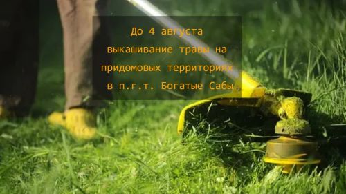 Хөрмәтле Саба шәһәр җирлегендә яшәүчеләр!