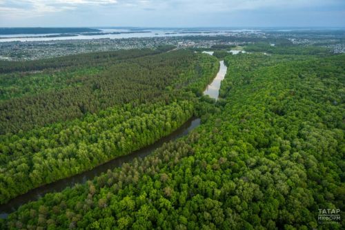 Татарстан урманнарын 2,3 км озынлыктагы янгынга каршы полосалар саклый