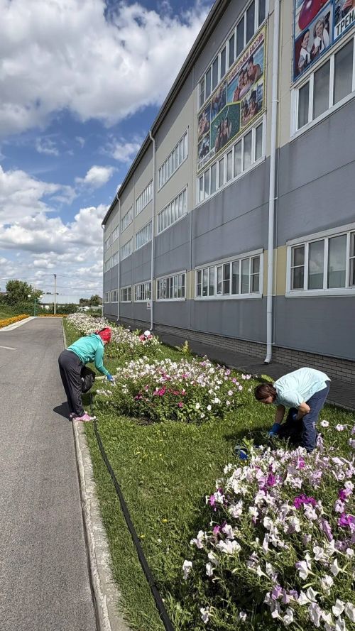 Матурлык кайгыртудан башлана! «Бассейн-Чәчәкле Саба 2026» фоторепортаж