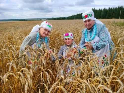 Шекшенең «Зиләйлүк» коллективы кыр батырлары алдында чыгыш ясады