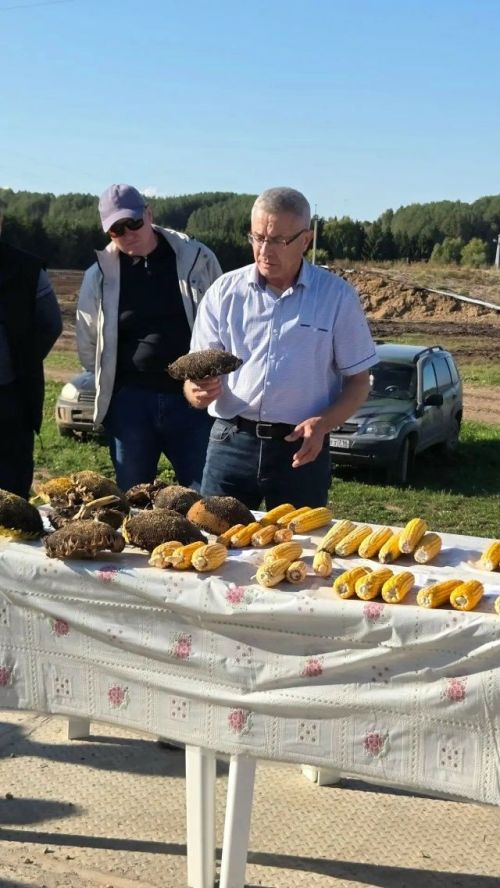 Гафур Хәсәншин җитәкчелегендә авыл хуҗалыгы эшенә йомгаклар ясалды