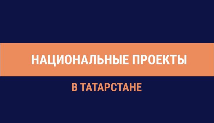 Татарстанда илкүләм проект буенча урман утырту өчен 12,1 тонна орлык әзерләнгән