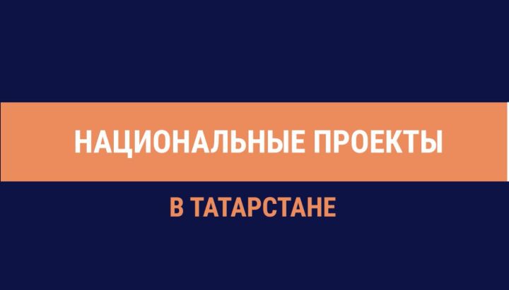 Татарстанда илкүләм проект буенча студент отрядларының 3,75 мең вәкиле эшкә урнашачак