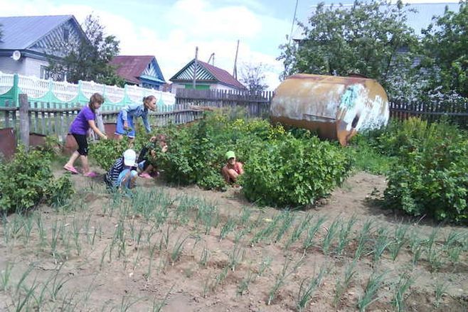 Тиешле финанслау булмау сәбәпле, Кавал авылындагы бердәнбер мәктәп ябыла