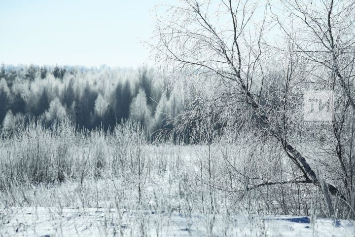 Елның соңгы көнендә Татарстанда 16 градуска кадәр салкын көтелә