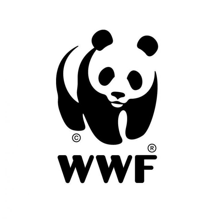 Ни өчен Бөтендөнья табигать фонды эмблемасында панда сурәтләнгән?