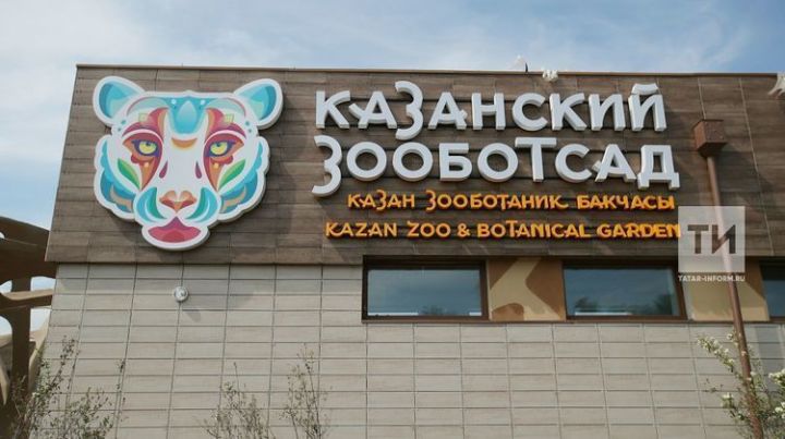 Казан зооботаника бакчасының яңа өлеше - «Замбези елгасы» 21 декабрьдә ачыла