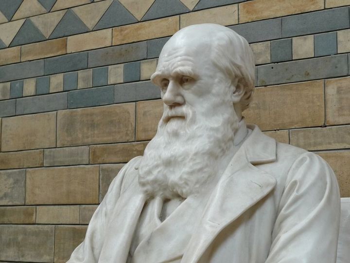 День Дарвина (Международный день науки и гуманизма)