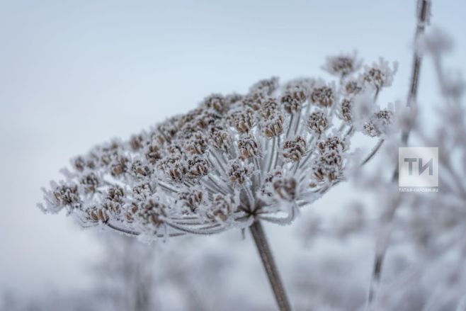 Татарстан синоптиклары -5 градуска кадәр суыклар булачагы турында кисәтә