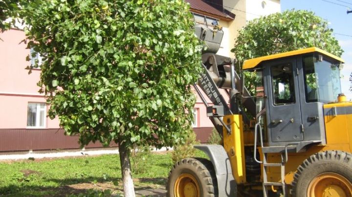 Байлар Сабасы бистәсе урамнарында агачларны матурлау эше алып барыла