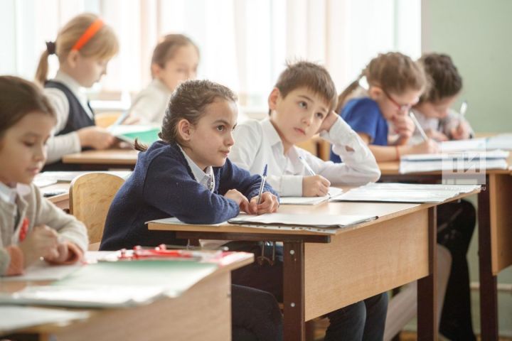 Казанның 2нче татар гимназиясе дәресләрдән онлайн трансляцияләр башлаган