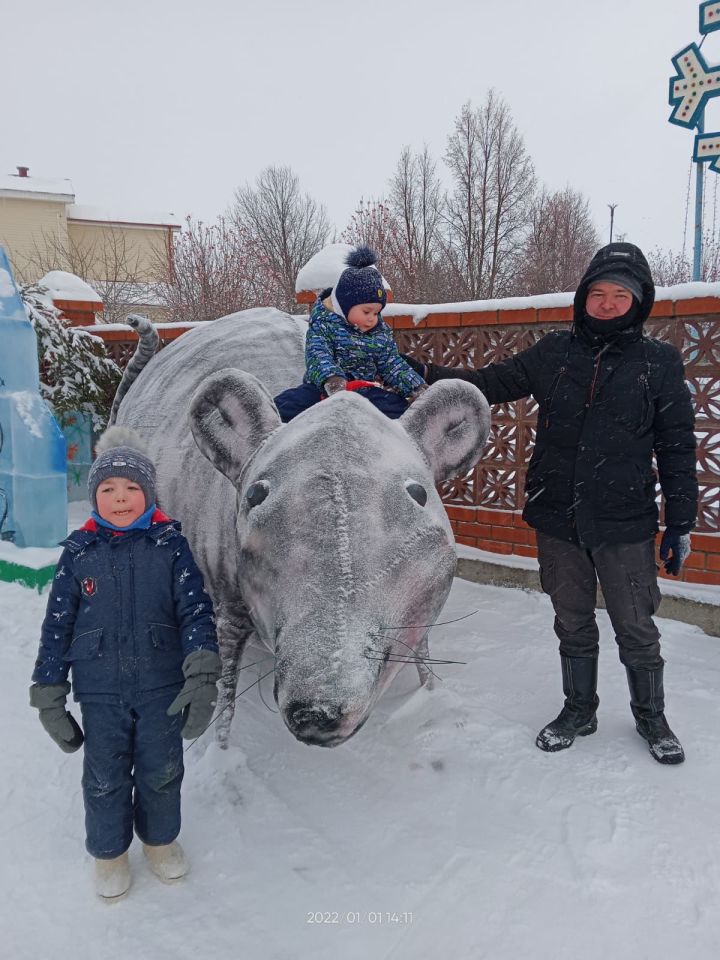 Чаналар тартып киттек без тауга