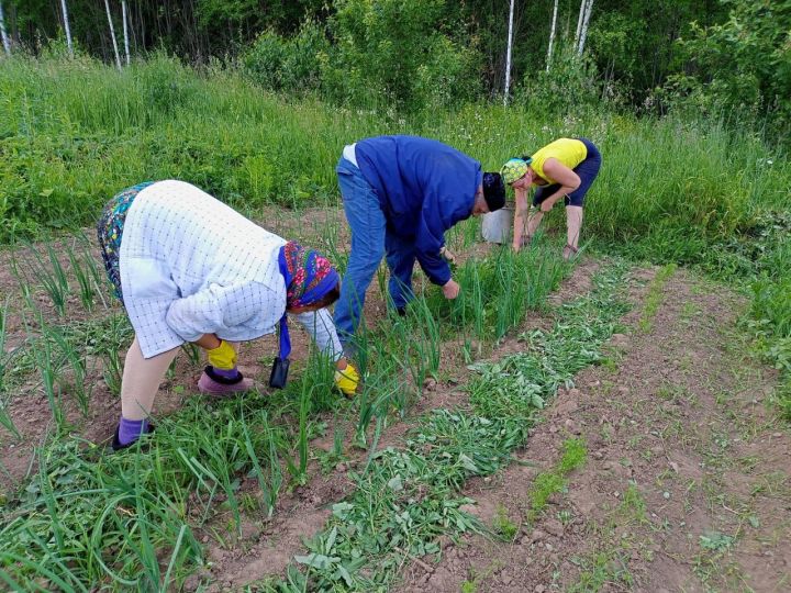 Лесхоз картлар һәм инвалидлар йортында хезмәт терапиясе даими үткәрелеп тора