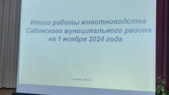 Сабада терлекчелек буенча 10 айлык эшчәнлеккә йомгак ясалды