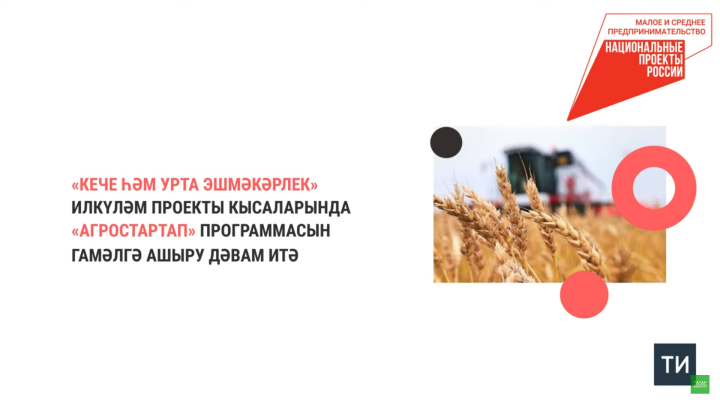 Татарстан фермерларына ярдәм итү өчен 2024 елда илкүләм проект буенча 369 млн сум бүленде
