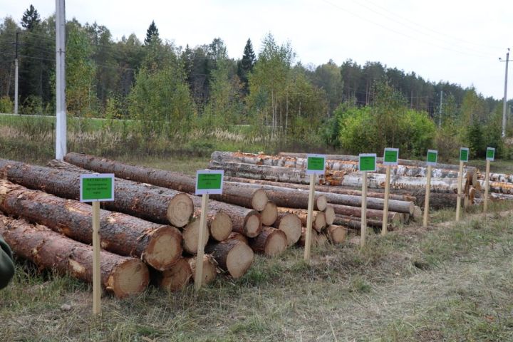 Лесхозга Беларусь Республикасы урманчылары  килде