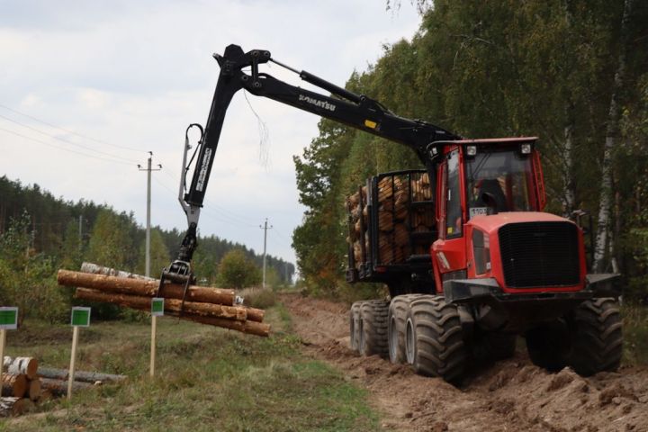 Лесхозга Беларусь Республикасы урманчылары  килде