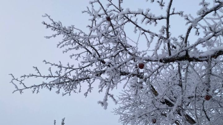 Бүген Сабада нинди һава торышы көтелә?