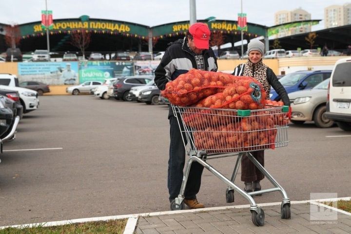 Татарстанда 15 мартта язгы авыл хуҗалыгы ярминкәләре ачыла