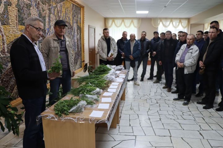 Районда терлекчелек тармагында 2025 елның 4 айлык эш нәтиҗәләренә йомгак ясадылар