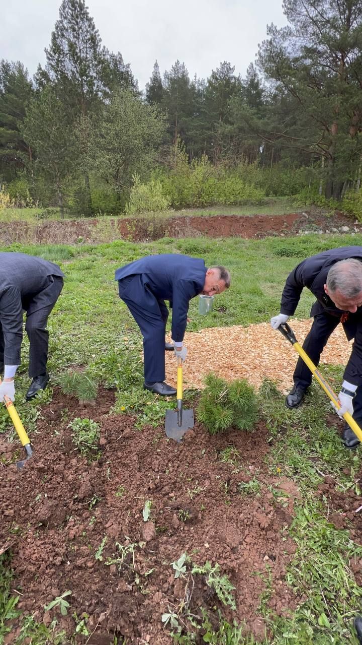 Бәйрәм көнне «Ямьле Саба» яр буенда 140 төп агач утыртылды