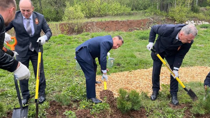 Бәйрәм көнне «Ямьле Саба» яр буенда 140 төп агач утыртылды