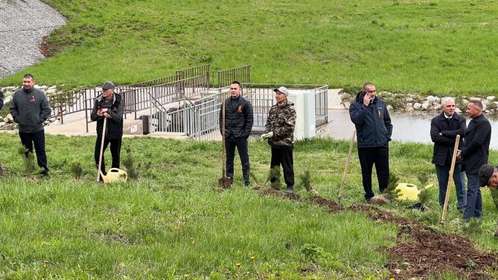 Бәйрәм көнне «Ямьле Саба» яр буенда 140 төп агач утыртылды