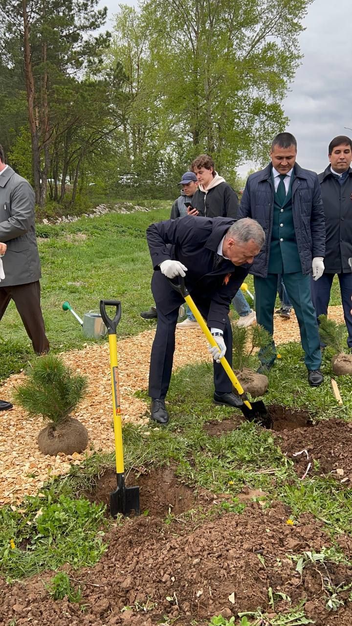 Бәйрәм көнне «Ямьле Саба» яр буенда 140 төп агач утыртылды