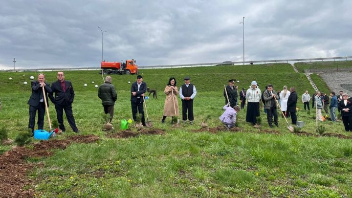 Бәйрәм көнне «Ямьле Саба» яр буенда 140 төп агач утыртылды