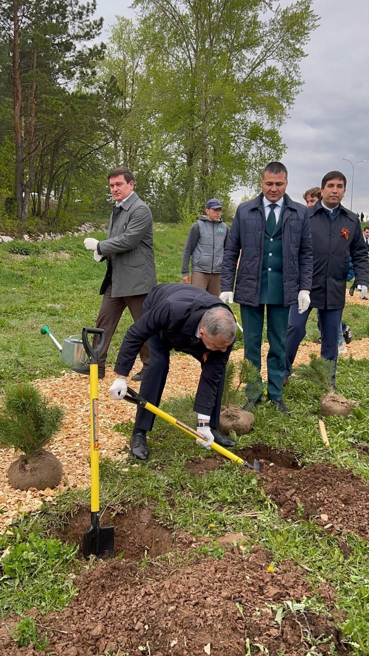 Бәйрәм көнне «Ямьле Саба» яр буенда 140 төп агач утыртылды