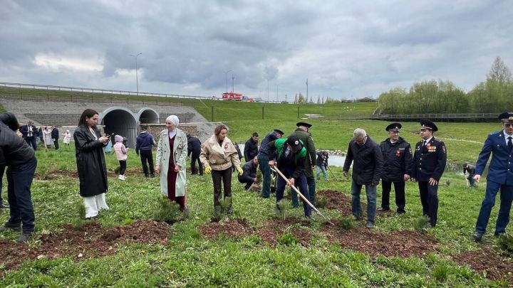 Бәйрәм көнне «Ямьле Саба» яр буенда 140 төп агач утыртылды