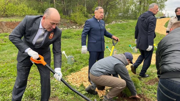 Бәйрәм көнне «Ямьле Саба» яр буенда 140 төп агач утыртылды