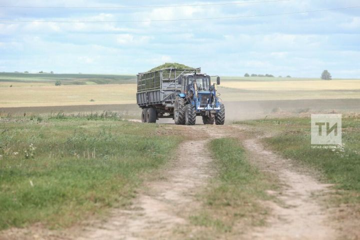Районыбызда терлек азыгы әзерләү башланды