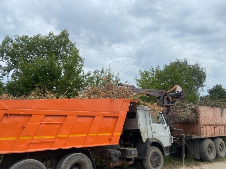 Олы Шыңар авыл җирлегендә чистарту эшләре