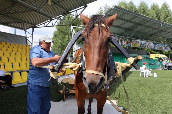 Эштә батырлар, ялда  ялкыннар
